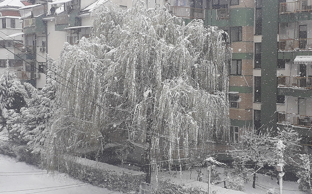 Интензивни врнежи на снег во Куманово