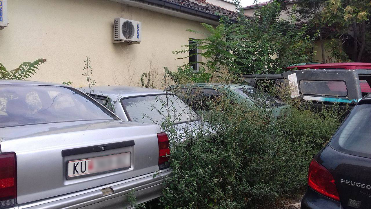 Змии ќе ги изедат кумановци што сакаат да проверат дали се во избирачкиот список